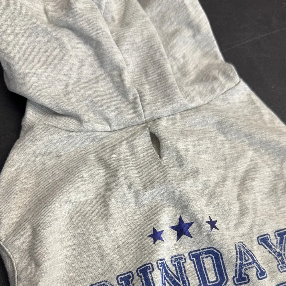 5/$25 Top Paw Gray Dog Hoodie with Sunday Funday Blue Print